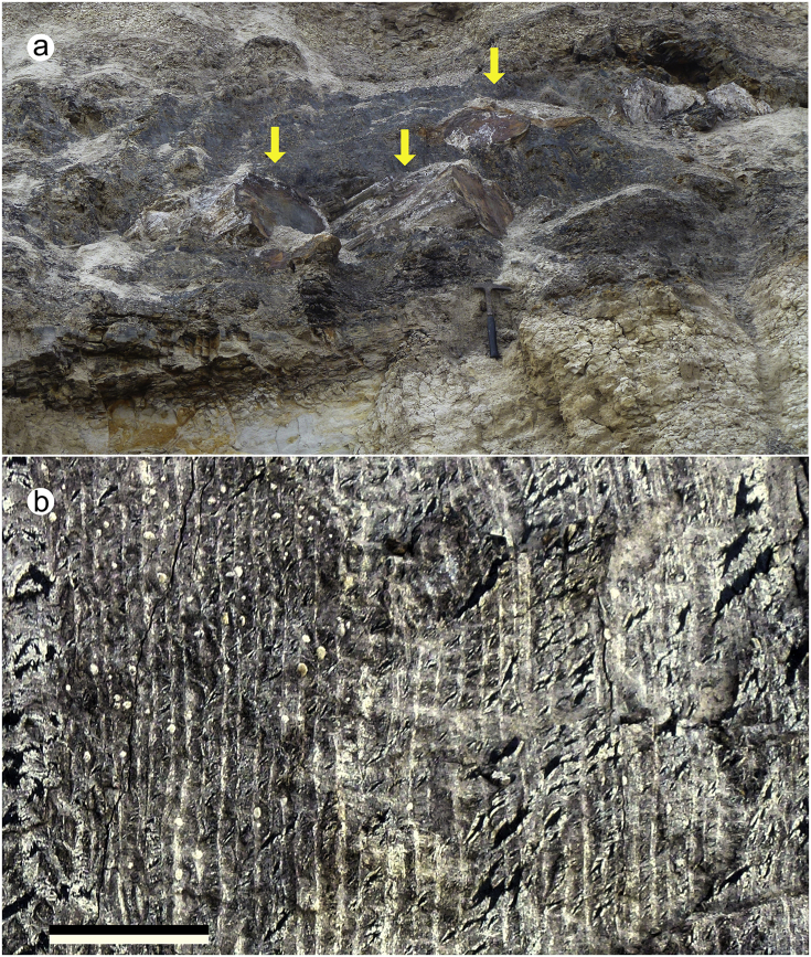 Fig. 10