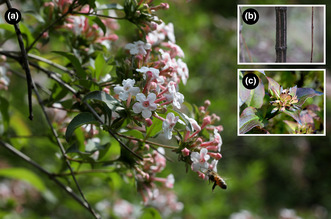 graphic file with name ECE3-13-e10252-g007.jpg