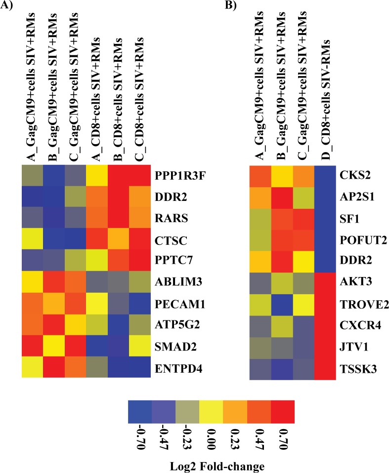 Fig 4