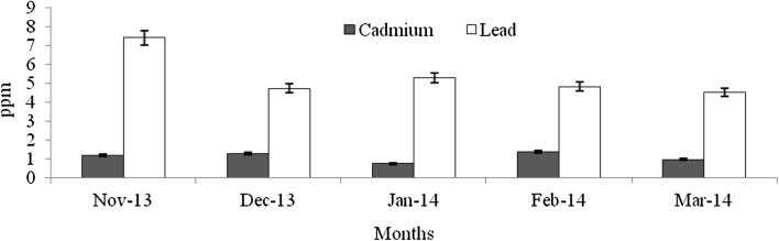 Fig. 13