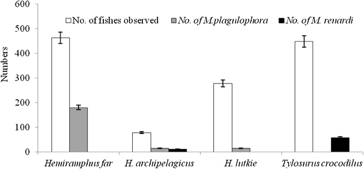 Fig. 3