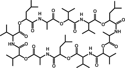 FIGURE 4