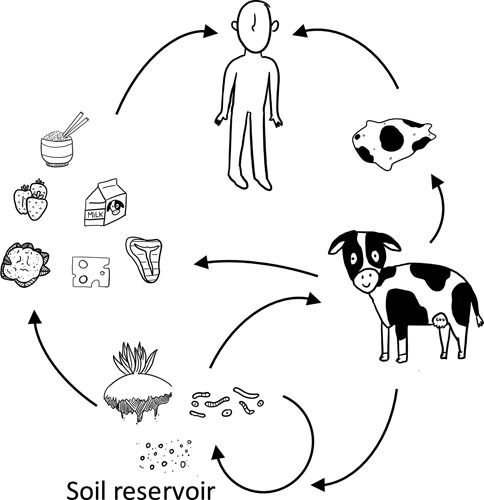 FIGURE 2