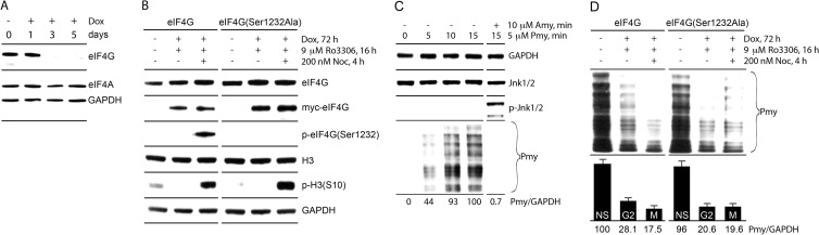 FIG 10