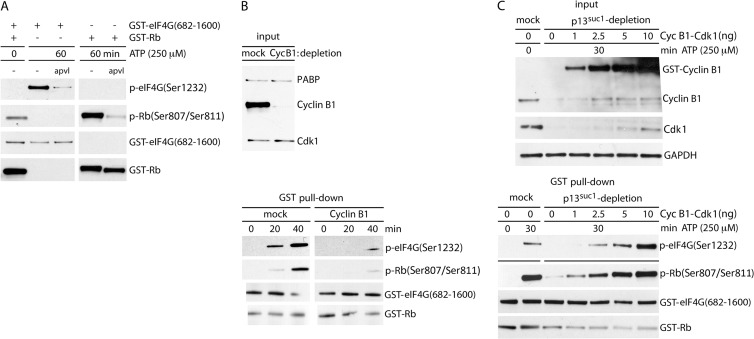 FIG 6