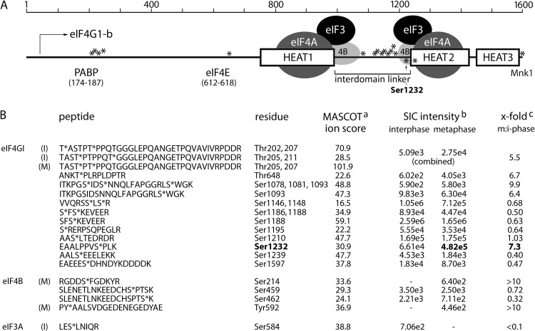 FIG 1