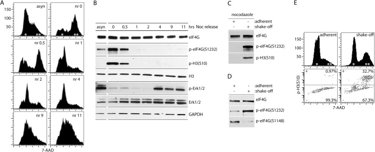 FIG 2