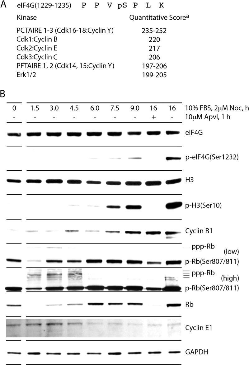 FIG 3