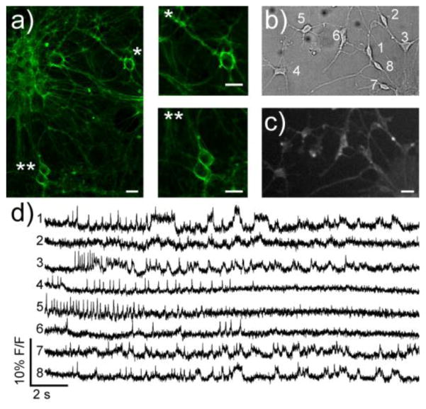 Figure 5