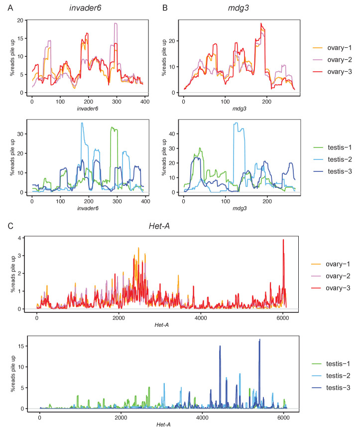 Figure 2—figure supplement 3.