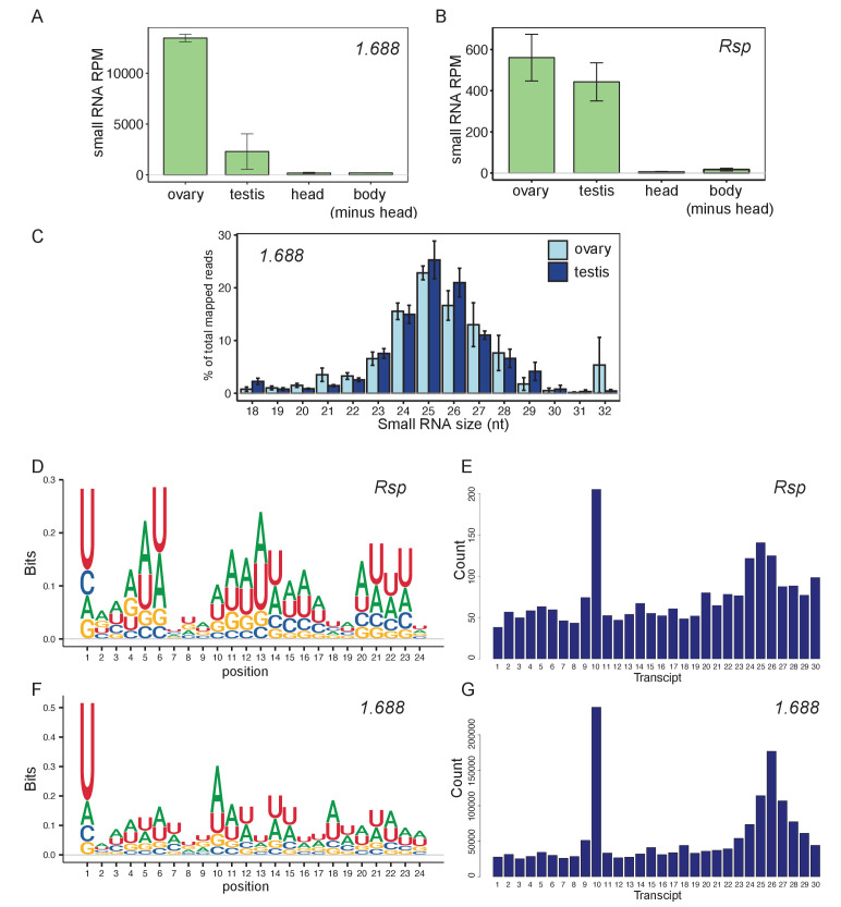 Figure 2—figure supplement 1.