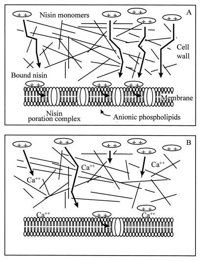 FIG. 5