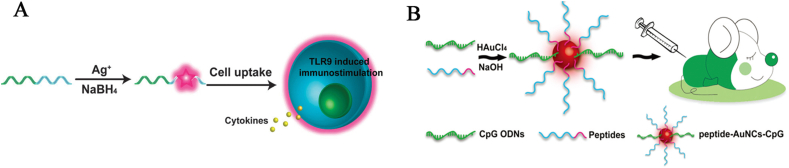 Figure 7