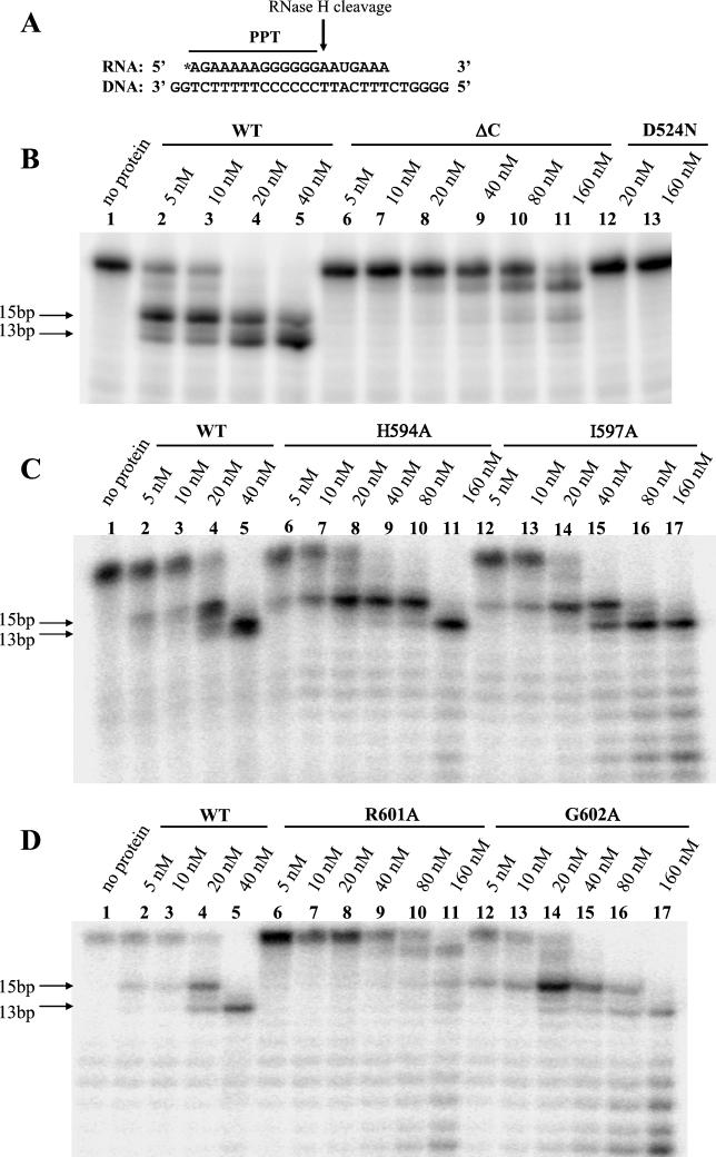 FIG. 8.