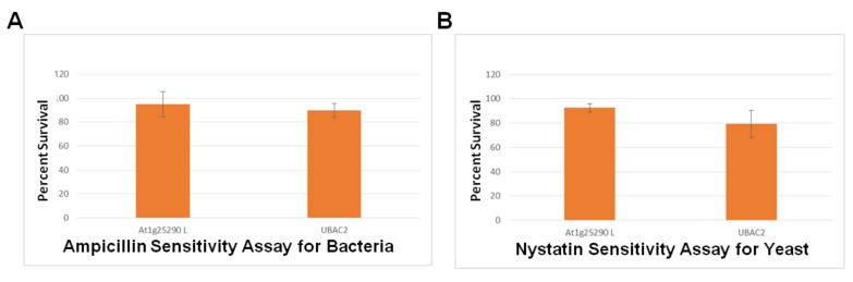 Figure 11. 
