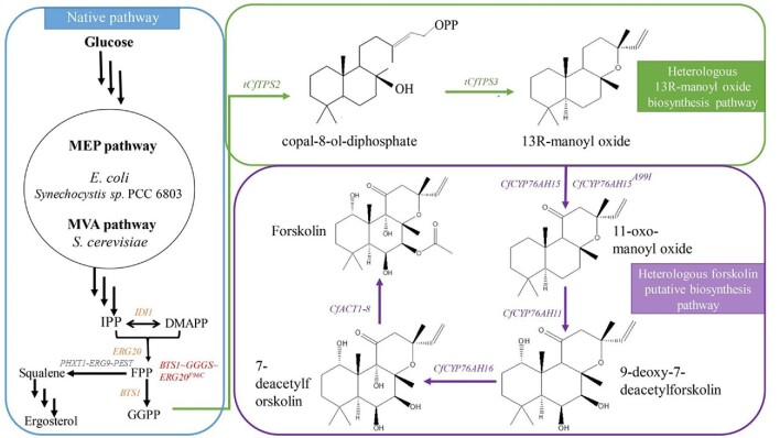 Fig. 3.