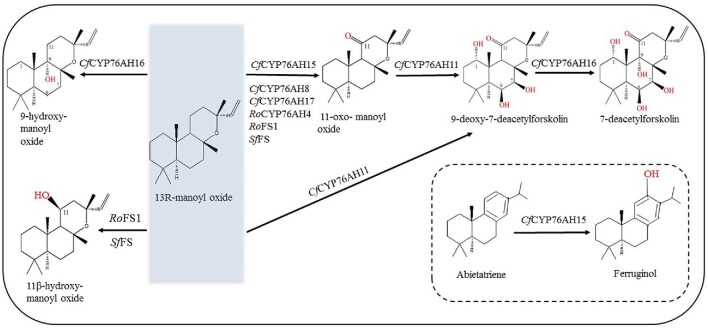 Fig. 4.