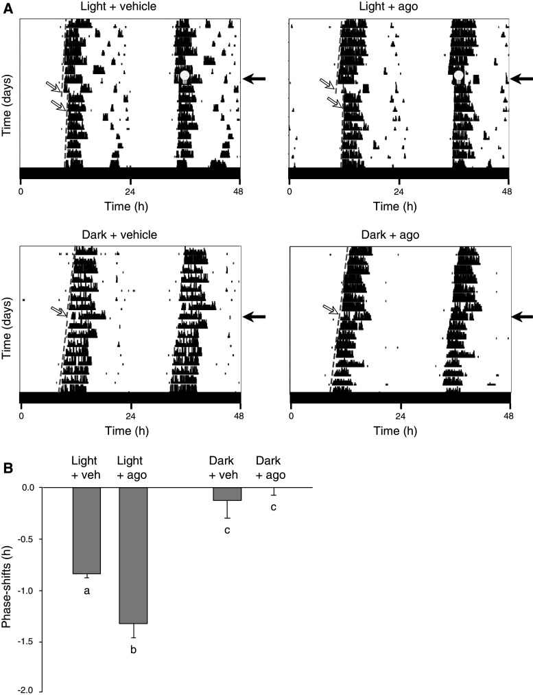 Fig. 6