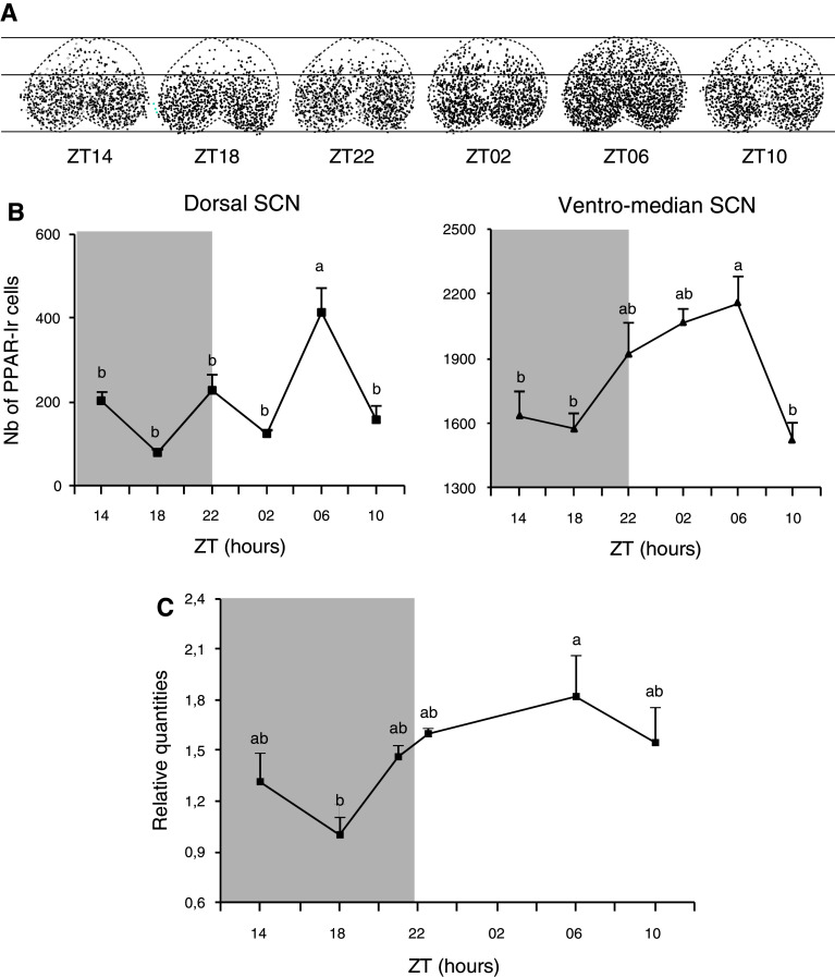 Fig. 2