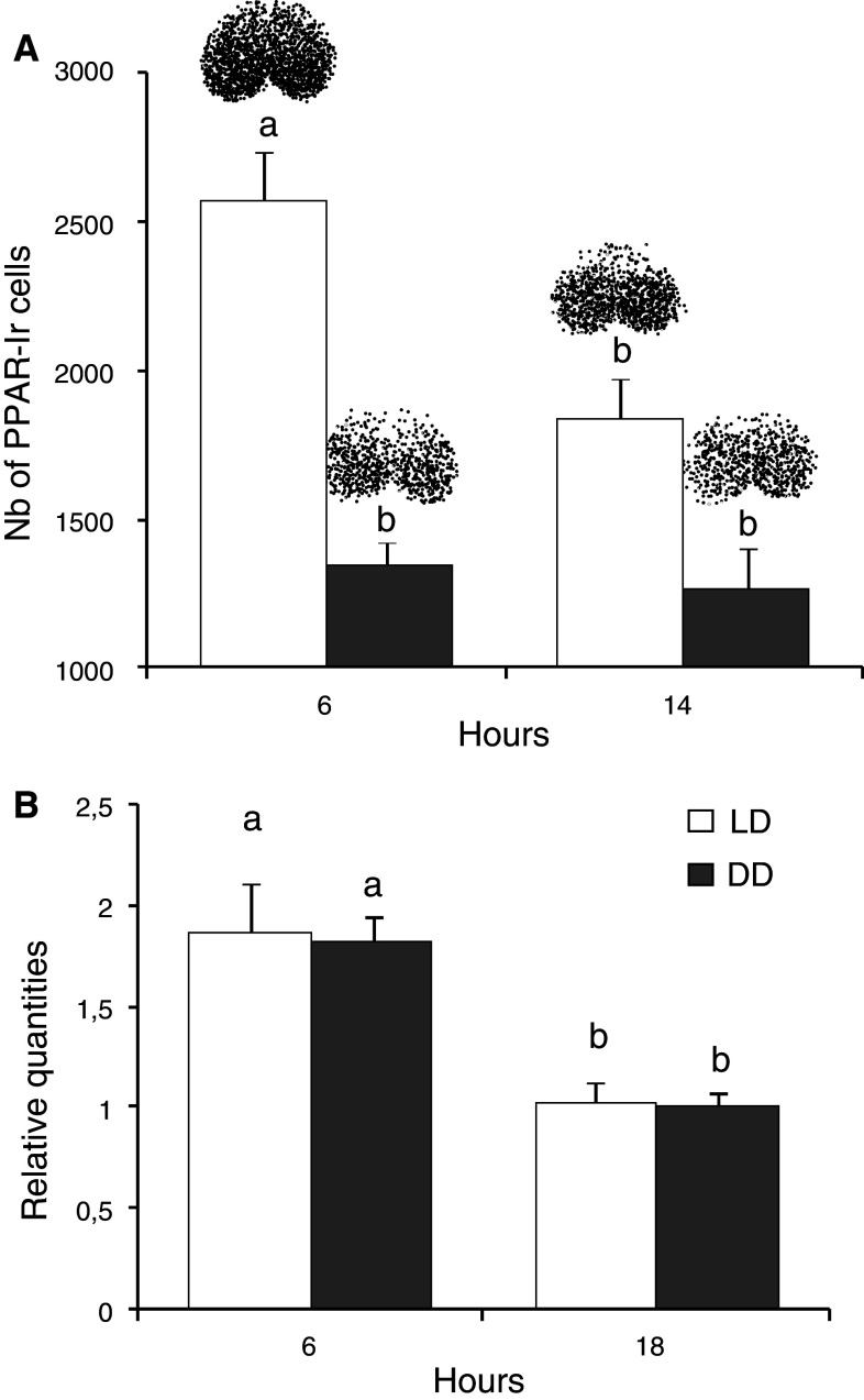 Fig. 3