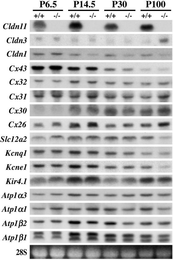 
Figure 9.
