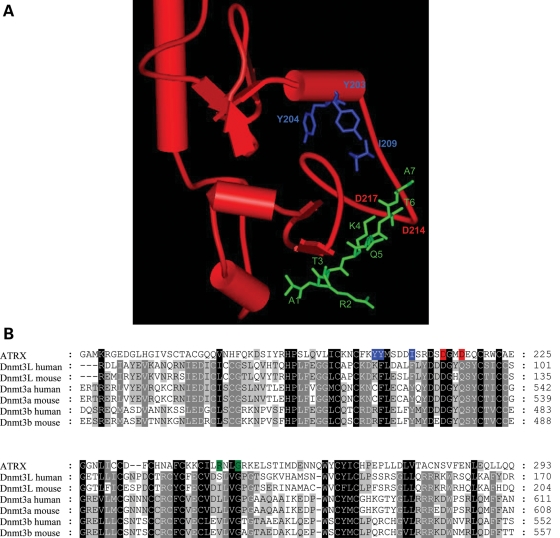 Figure 3.