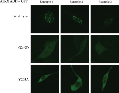 Figure 6.