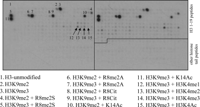 Figure 1.