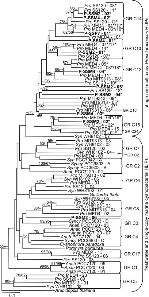 Fig. 3.