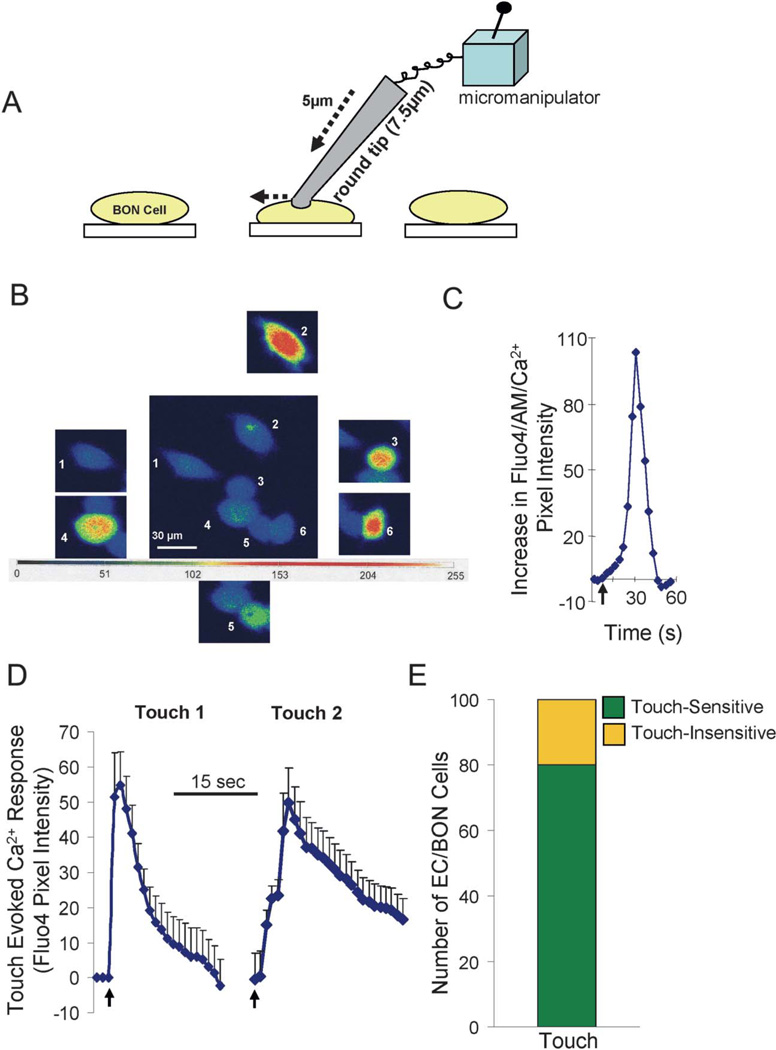 FIGURE 4