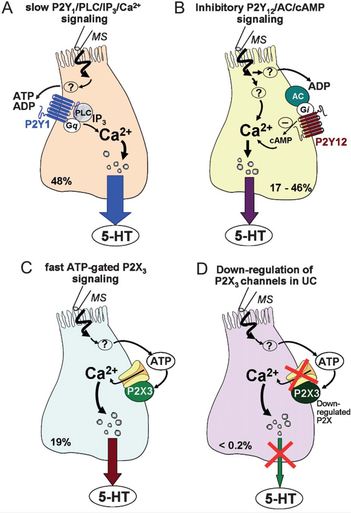 FIGURE 11