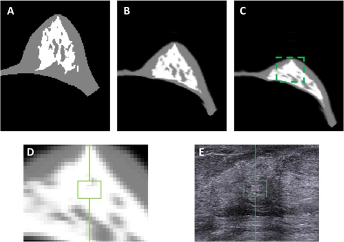 Fig. 2