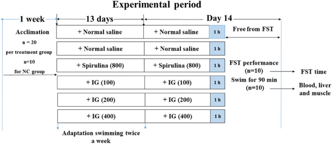 Fig. 1