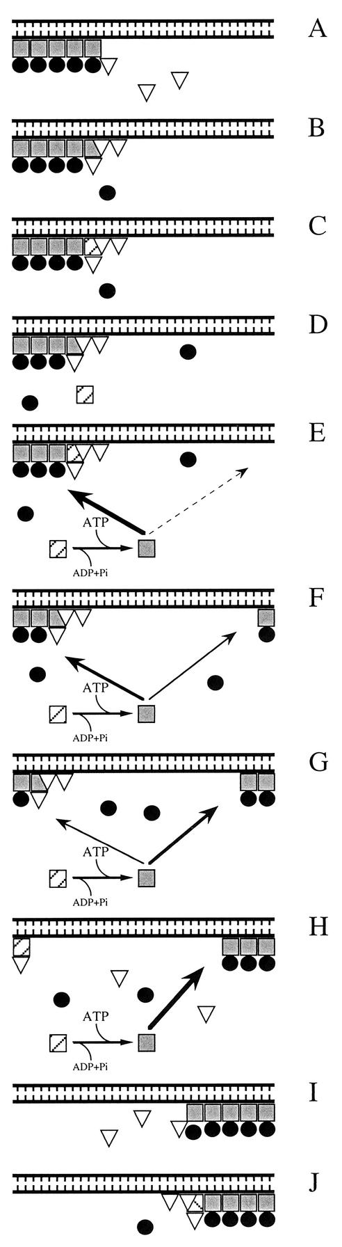 FIG. 12.