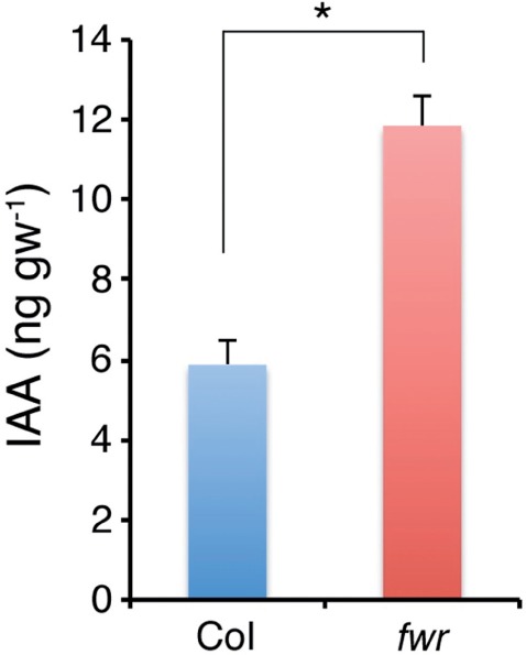 Fig. 8