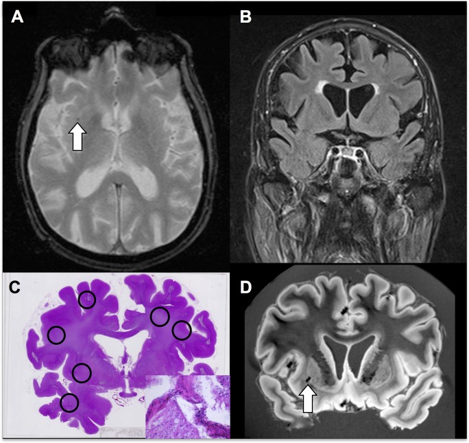 Fig 4