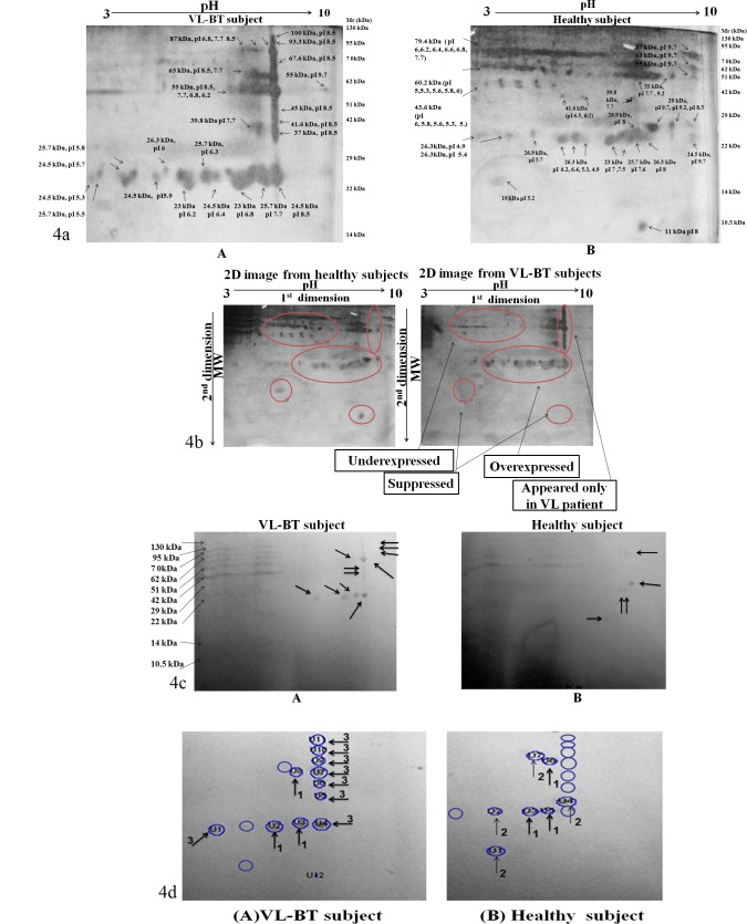 Fig 4