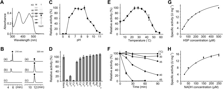 FIG 6