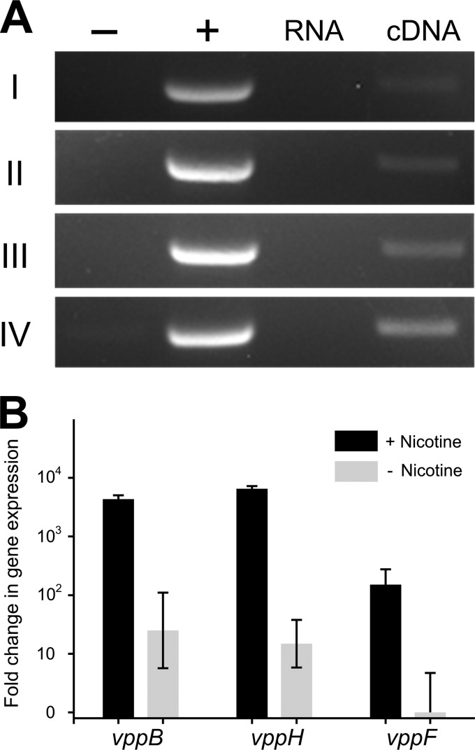 FIG 4