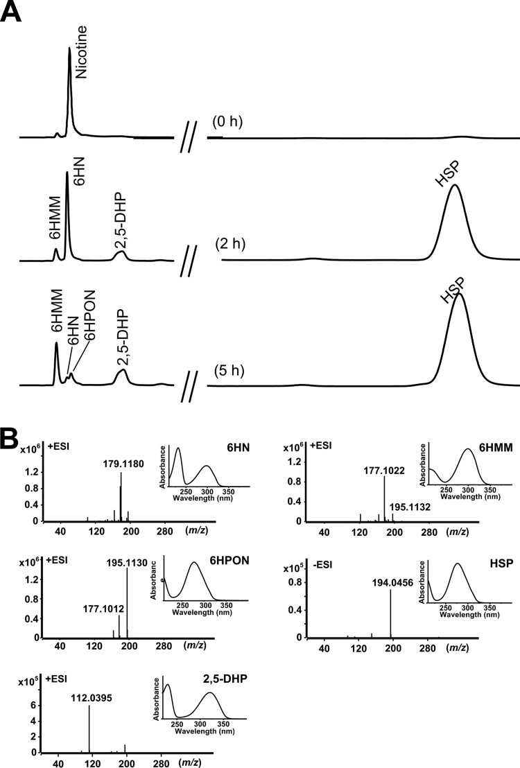 FIG 2