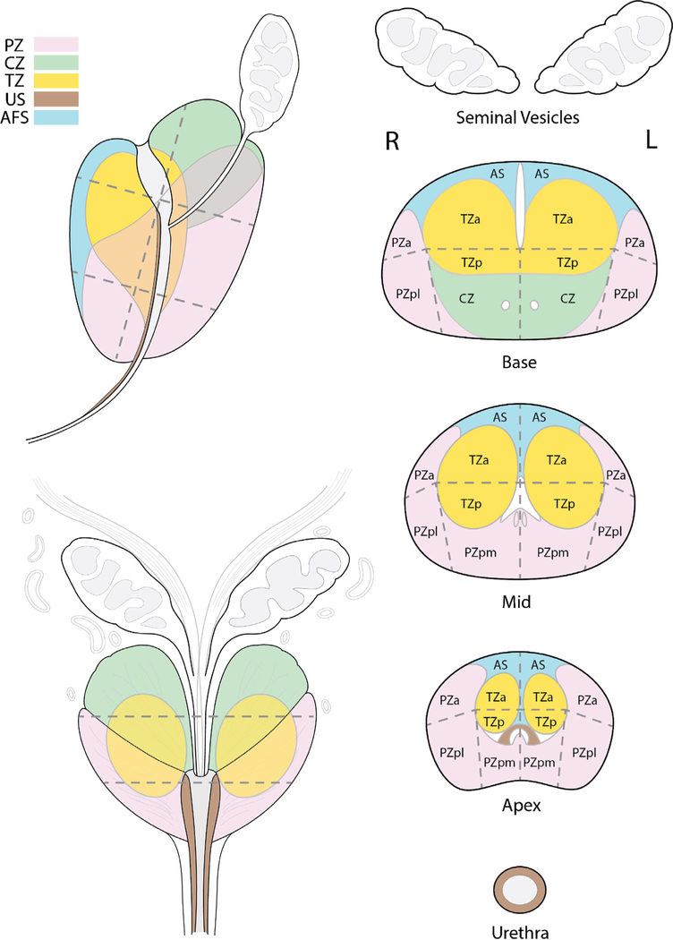 Fig. 3 –