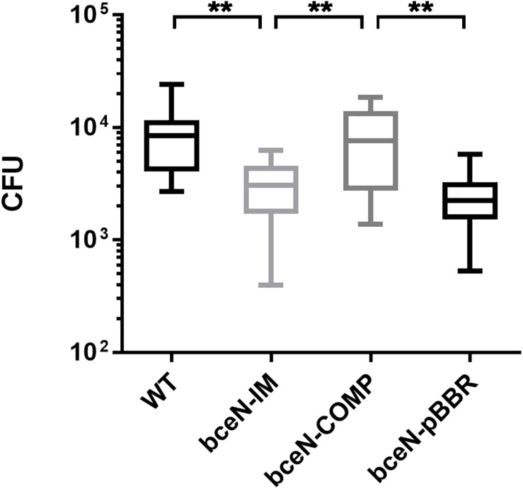 FIGURE 6