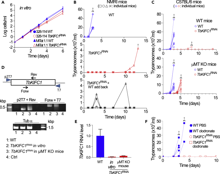 Figure 3