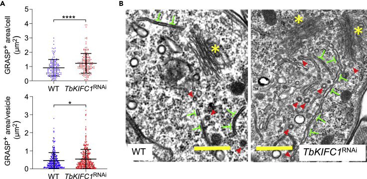 Figure 7