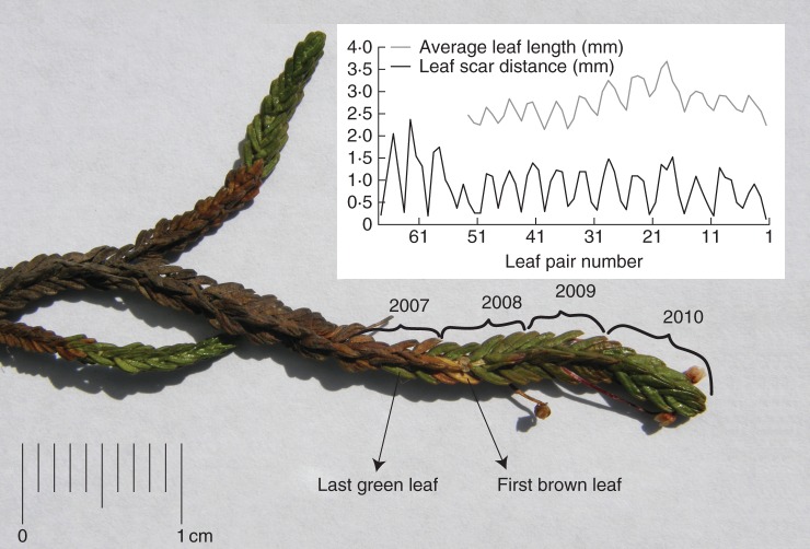 Fig. 2.