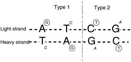 Figure  2