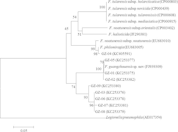 Figure 2