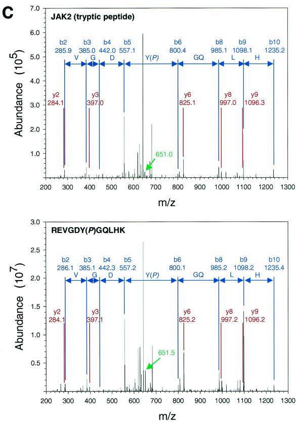 FIG. 1.