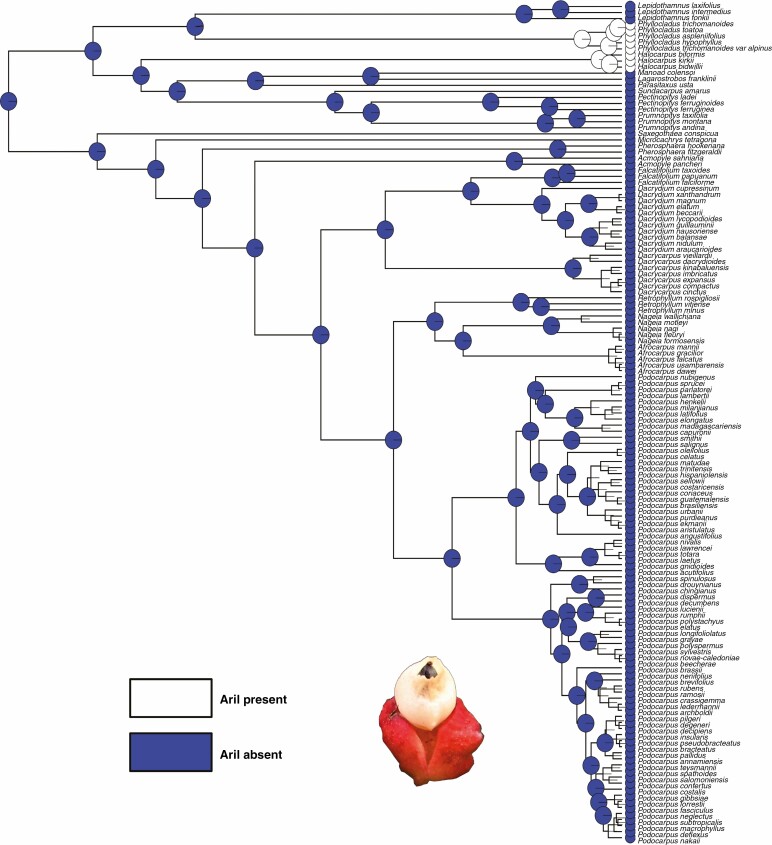 Fig. 7.