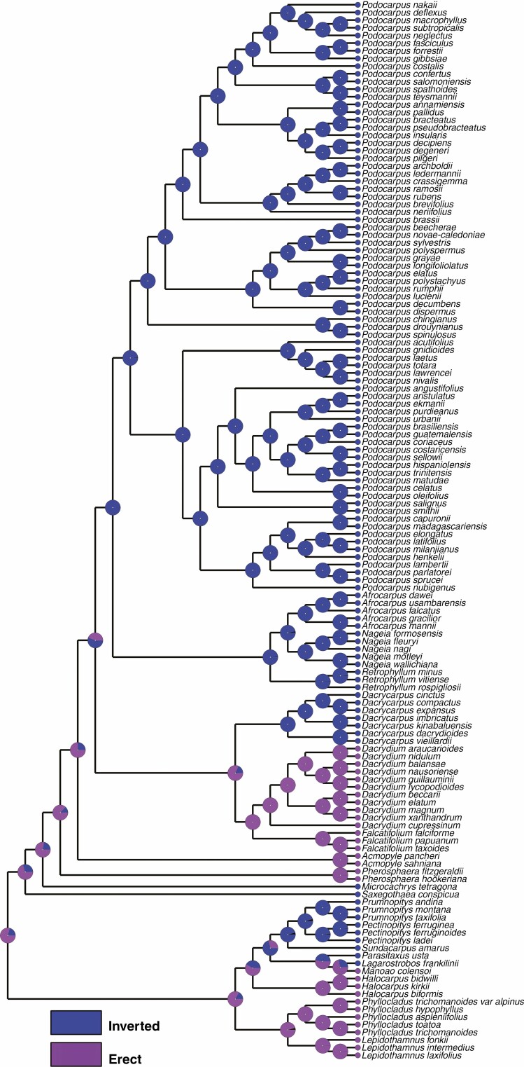 Fig. 9.